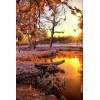 Winter Sonnenaufgang - Diamond Painting Kit