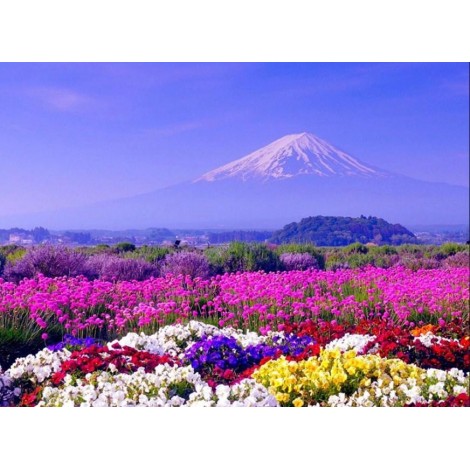 Weißer Berg & bunte Blumen