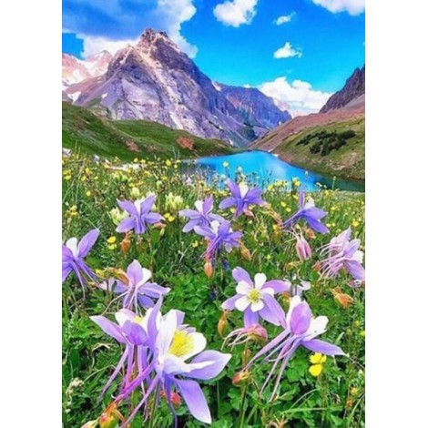 Columbine Blume in den Bergen