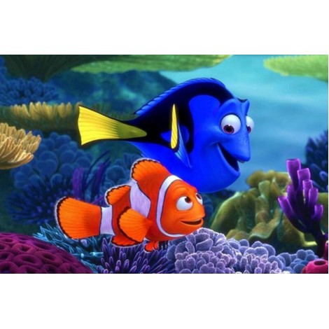 Suche nach Nemo - Diamond Painting Kit