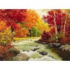 Naturblick Diamond Painting Kit