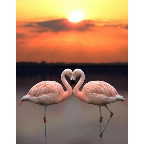 Flamingos & Sonnenuntergangslandschaft