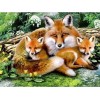 Fox-Sammlung DIY Diamond Paintings