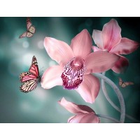 Orchideen und Schmetterli...